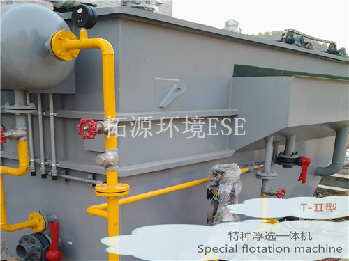 特種浮選機(jī)